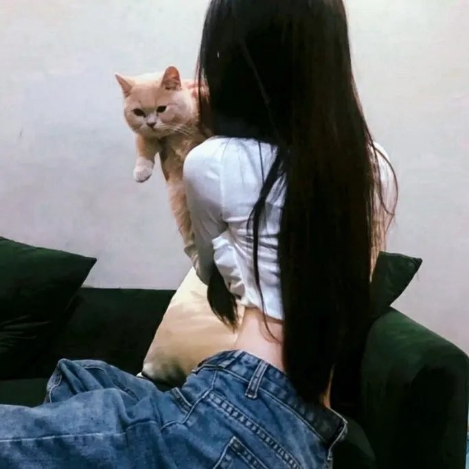汗血宝马